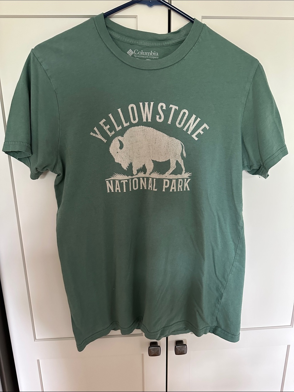 Columbia Green Yellowstone Buffalo Graphic Tee